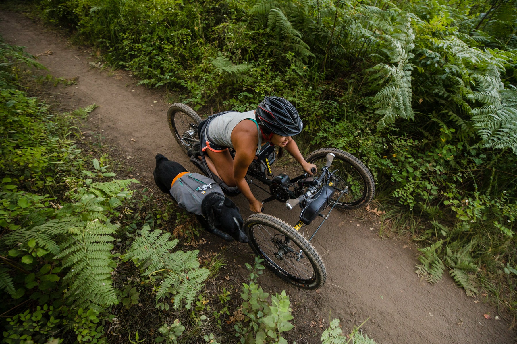 Woman riding an arm bike with a dog running next to her