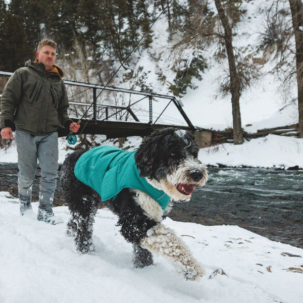 A woman skis with her dog in the snow