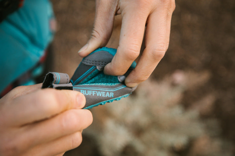 Human twists and flexes grip trex dog boot.