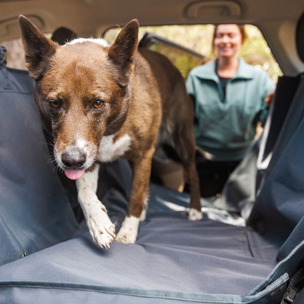 A man sits behind his truck with his dog on a bed