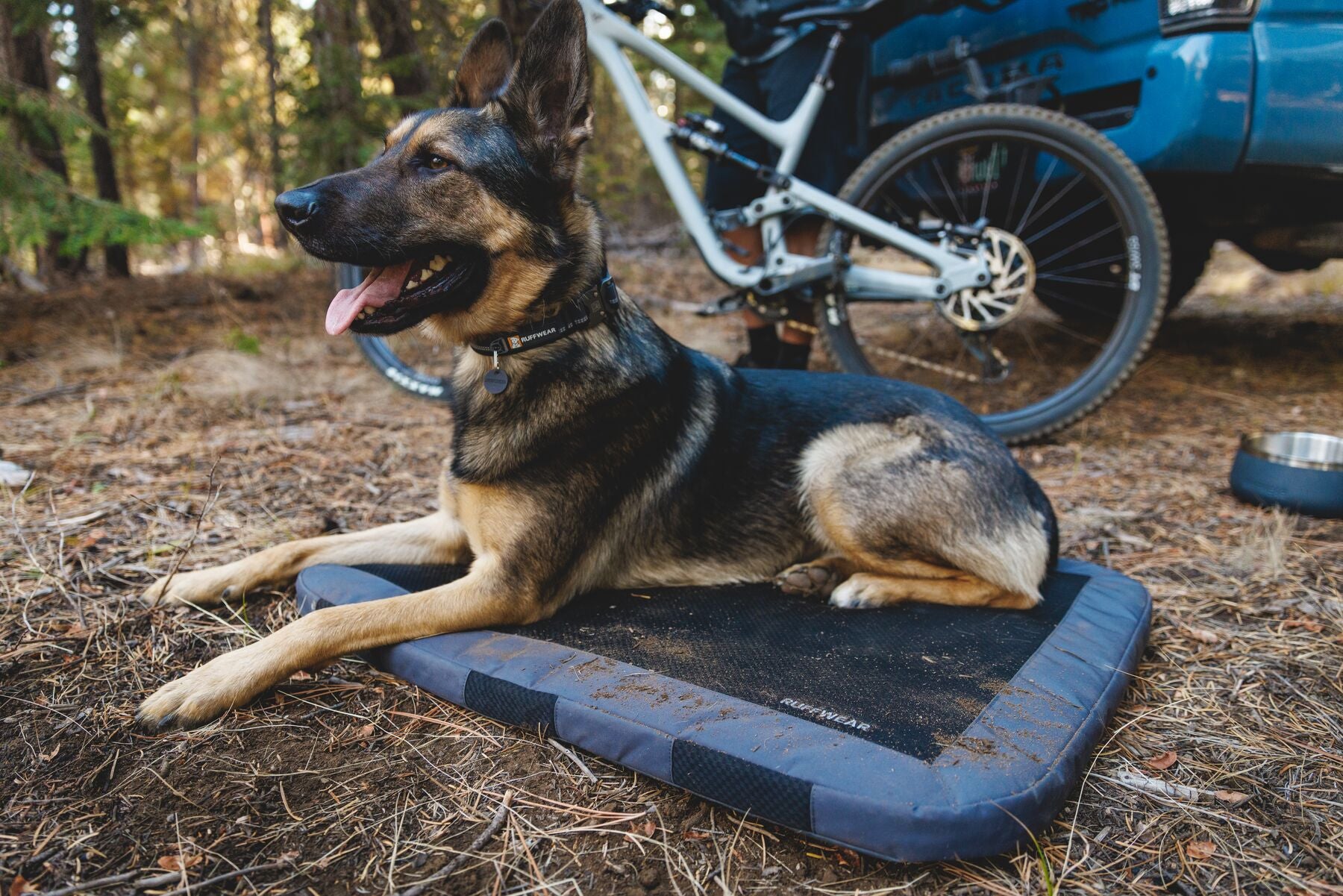 A dog lounges on their Base Camp™ Bed while their human sets up camp.
