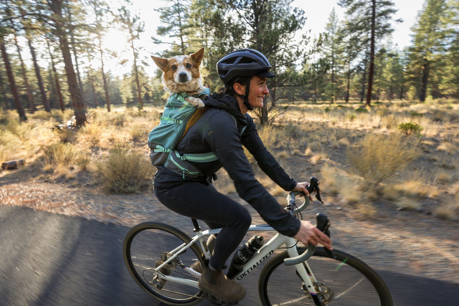 A cattle dog is along for the bike ride with their human, zipped up in the Hitch Hiker™ Dog Backpack.