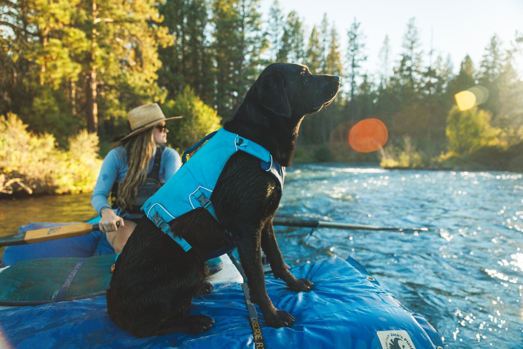 Eddy the lab enjoys the ride along the gentle river while wearing her Confluence™ Life Jacket.