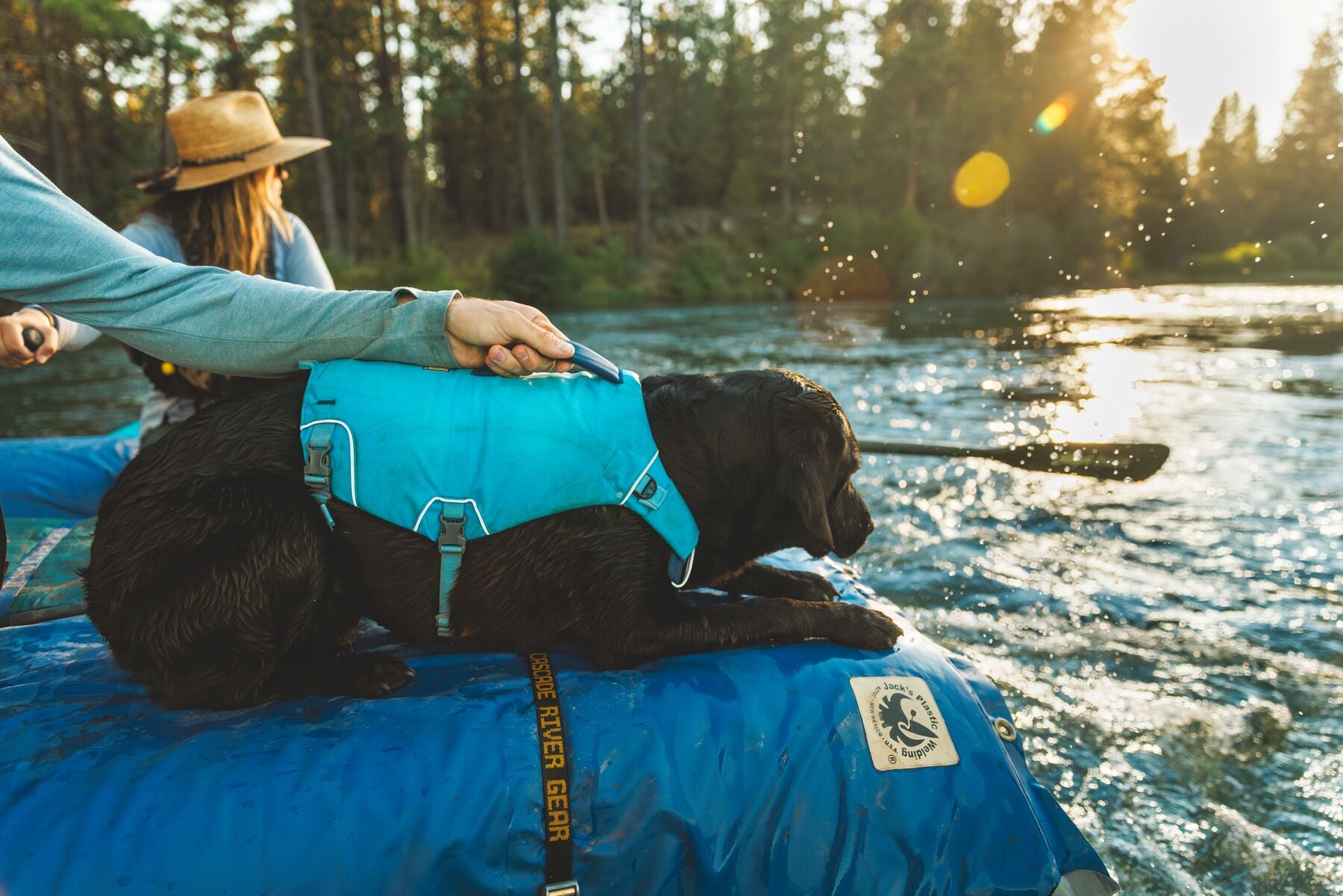 A dog rafting and wearing a Confluence™ Life Jacket hunkers down before the rapids.
