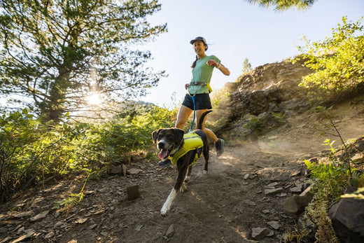 A happy dog runs on the trail with their human.