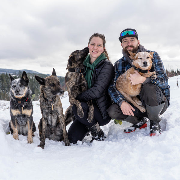Alicia with her 4 dogs Cali, Loot, Ruger & Sven