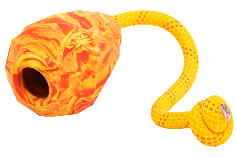 Salamander Orange
