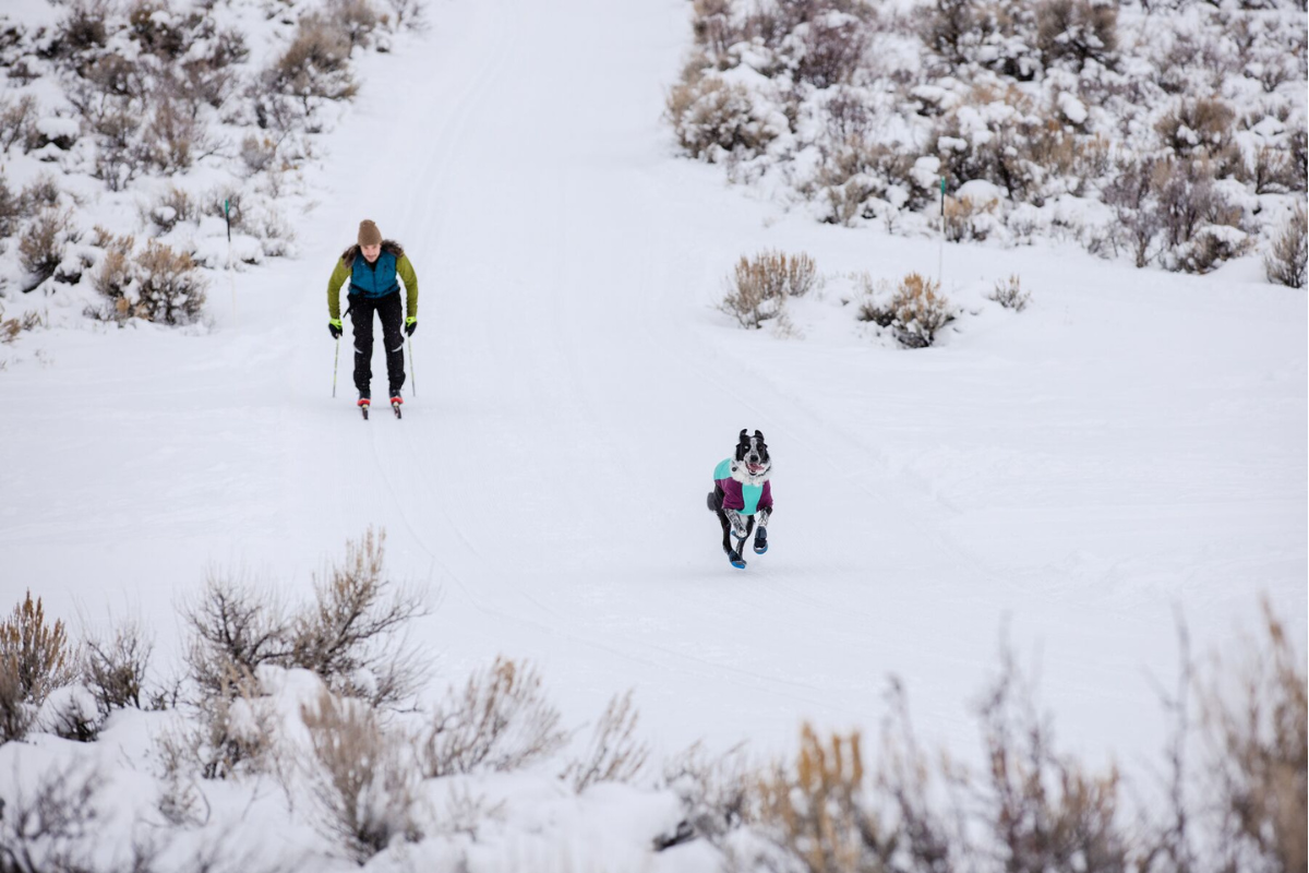 Dog wearing the Polar Trex™ Winter Dog Boots while his human skis.