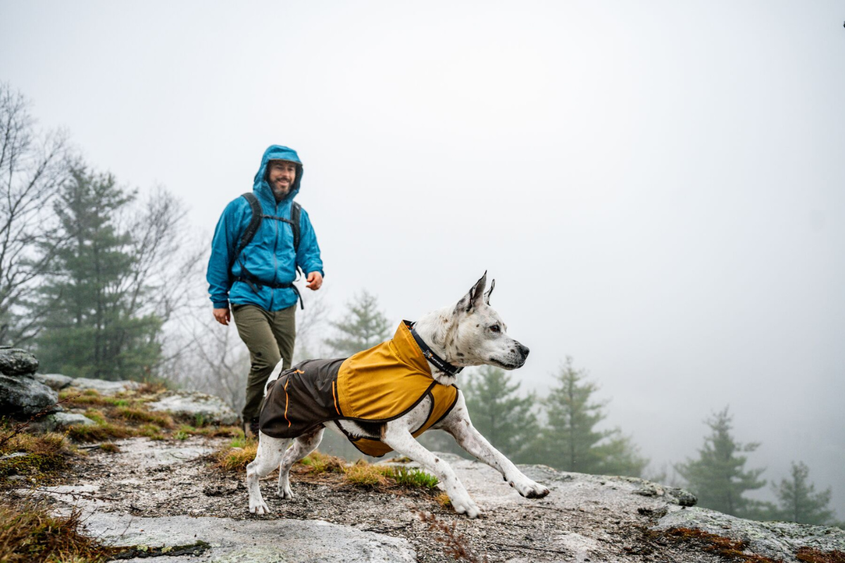 Dog hiking in the Sun Shower™ Raincoat.