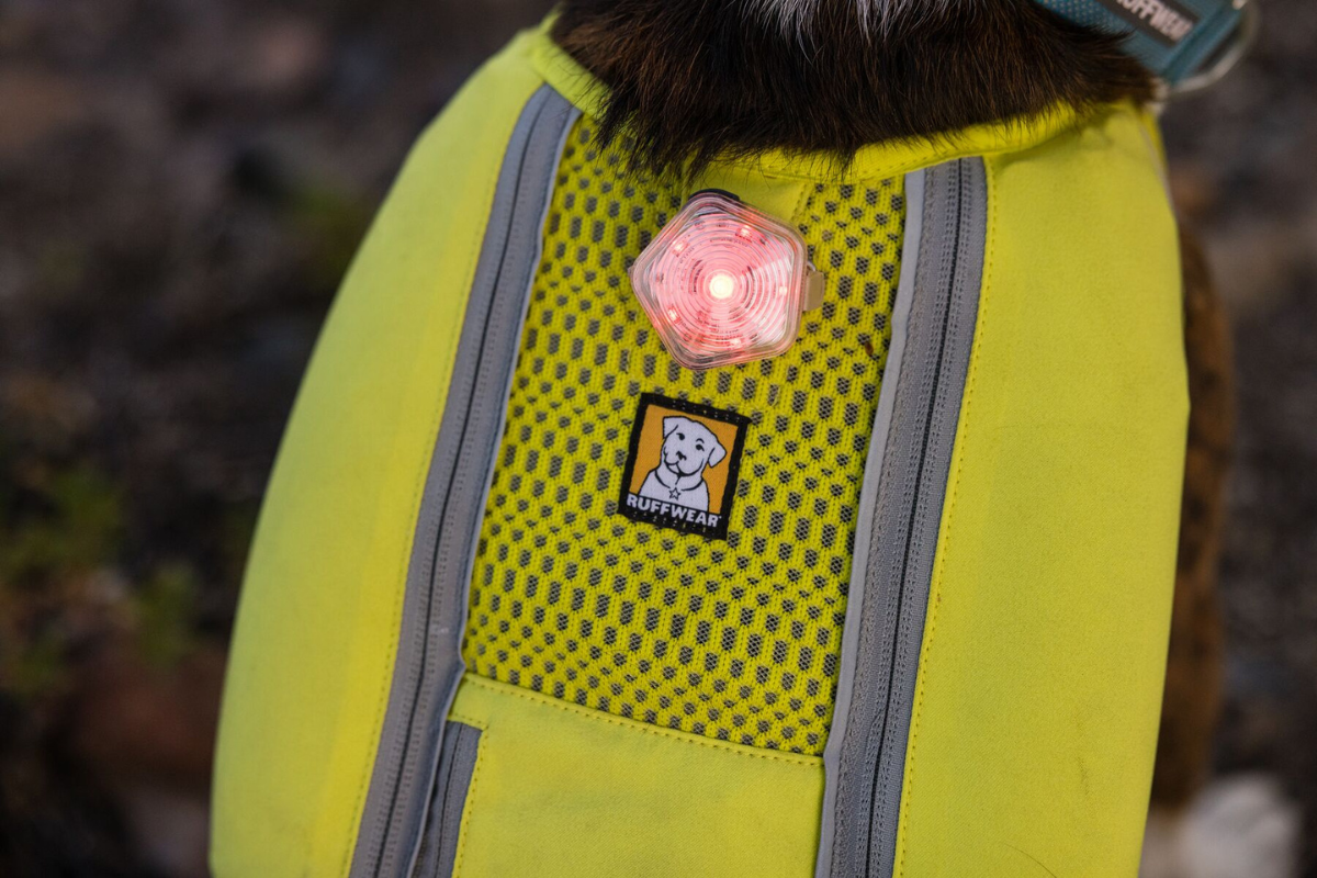 Close-up of The Beacon™ Safety Light on a dog.