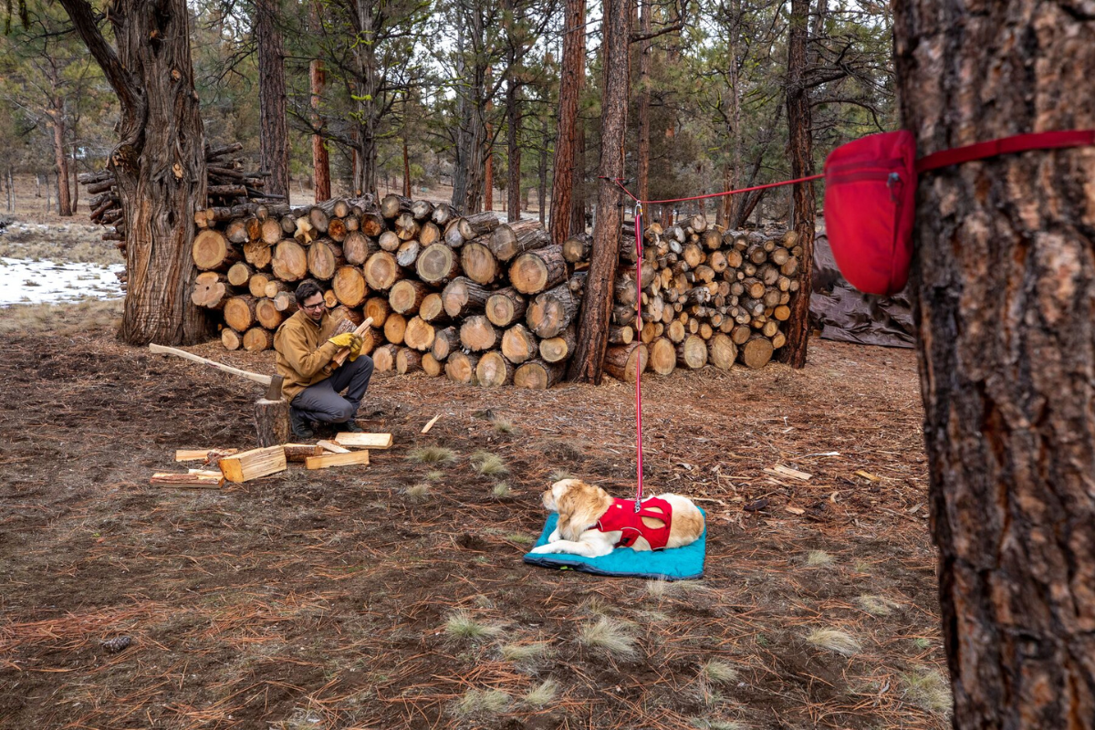Man camping with his dog in the winter.
